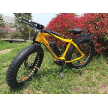 Hot Selling Midr Drive Motor E-Bike with Mountain Type